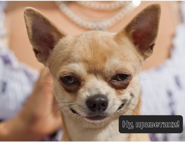 Изменённое фото из свободных источников.