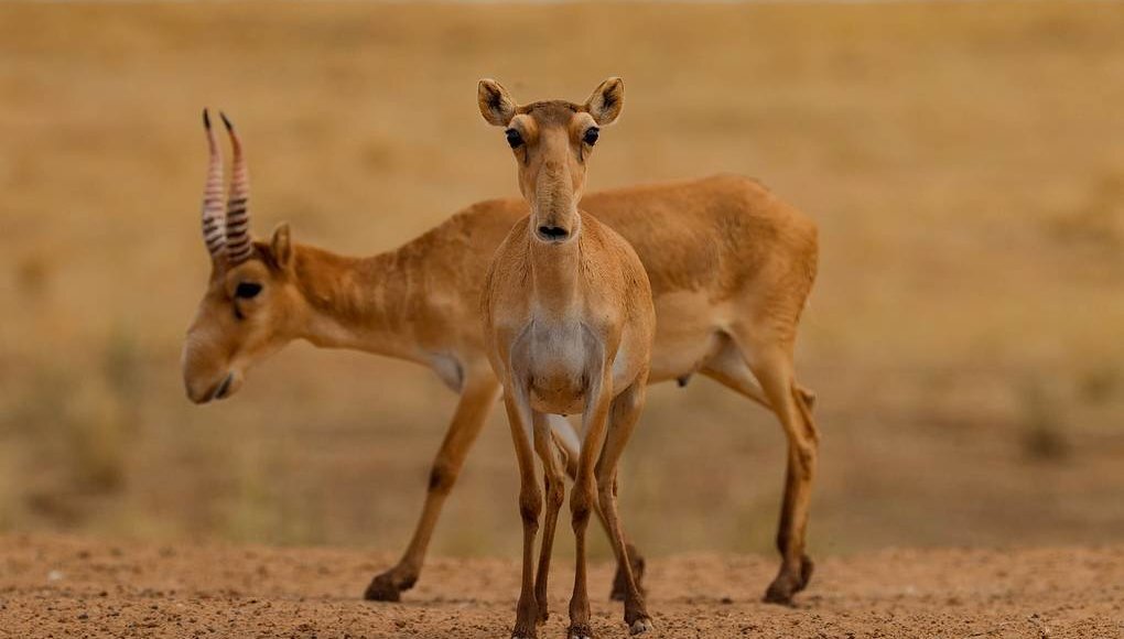    Фото: Эрик Романенко/ТАСС