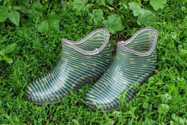 из свободных источников