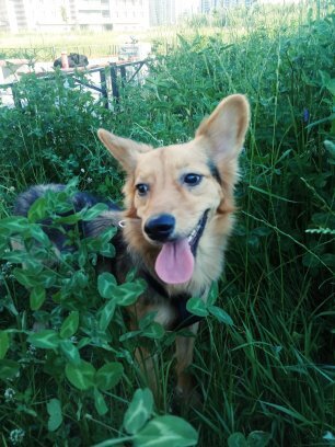 личное фото