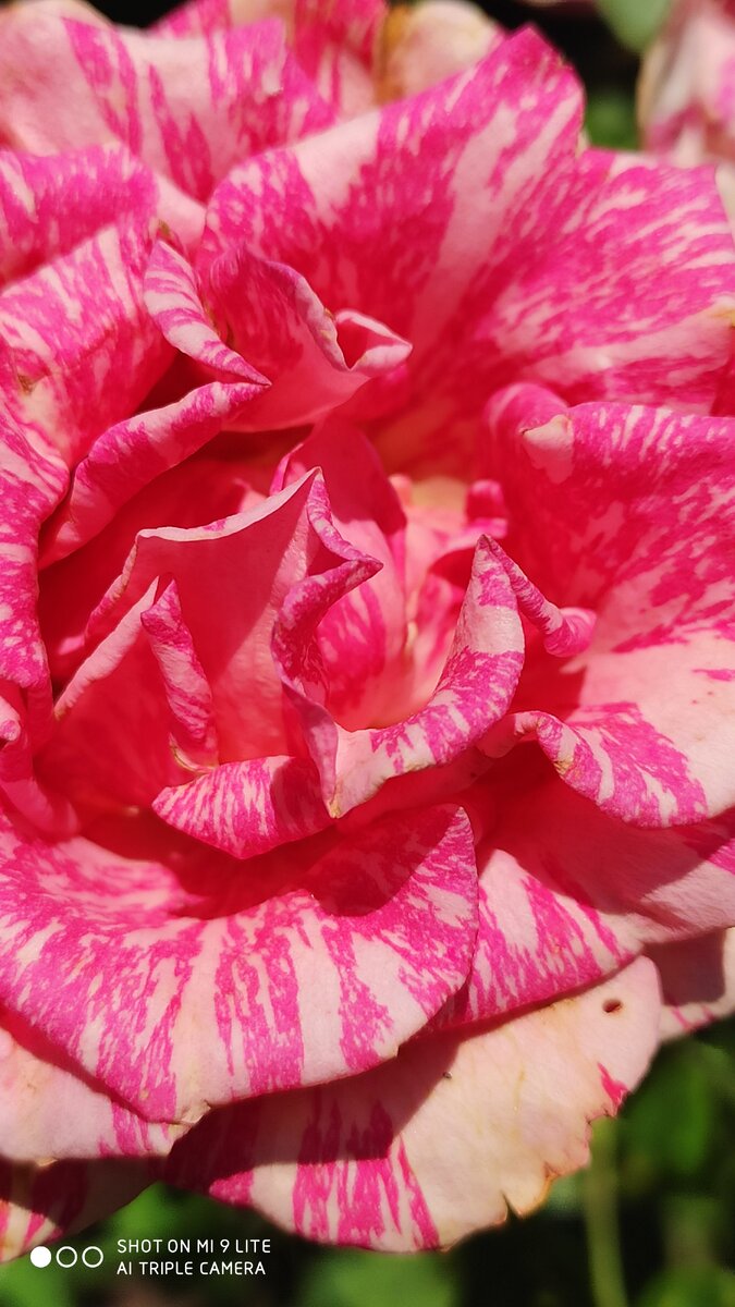 Фото из личного архива