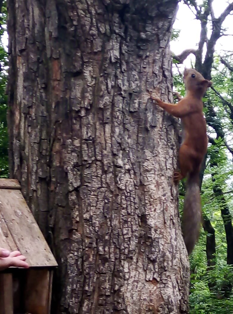 фото из личного архива