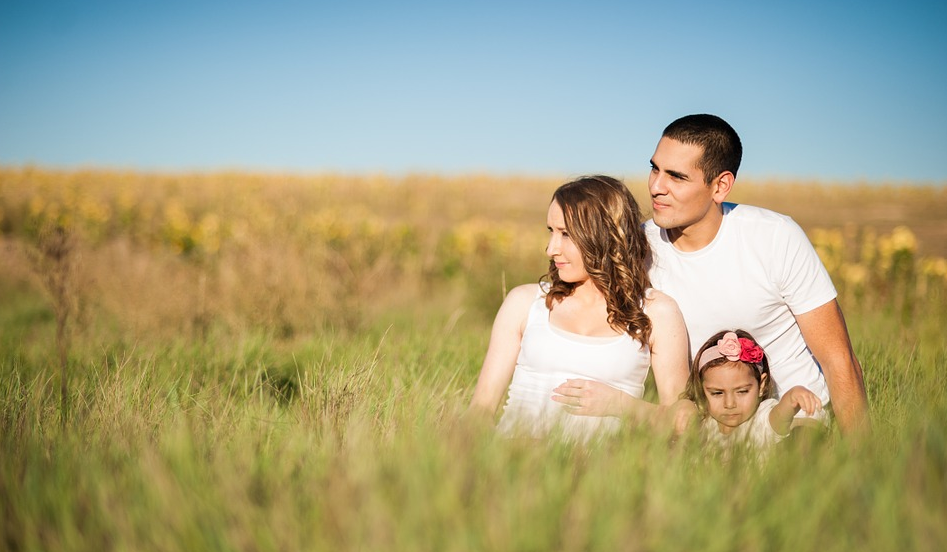 Фото для иллюстрации статьи взяты с сайта Pixabay.com