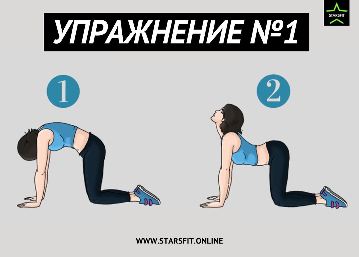 Болит поясница? Делай эти 7 упражнений для профилактики. | STARSFIT | Дзен