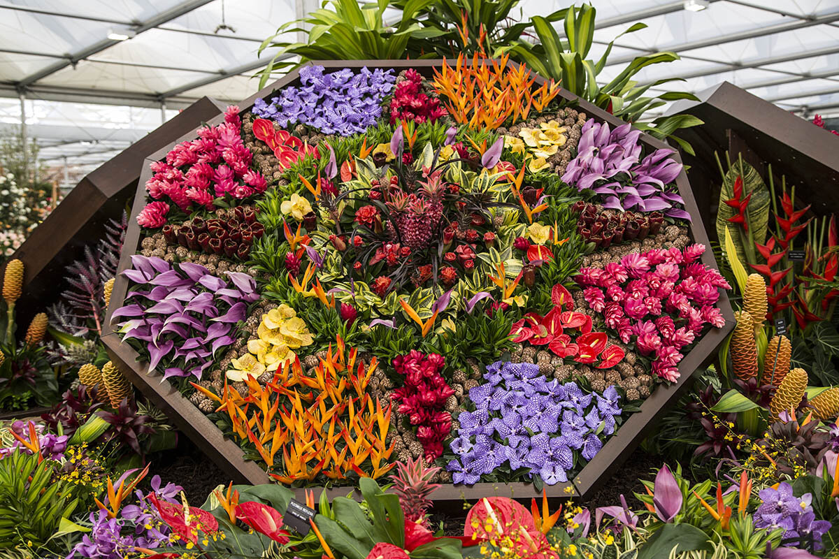 Цветочный магазин экзотические цветы. RHS Chelsea Flower show.