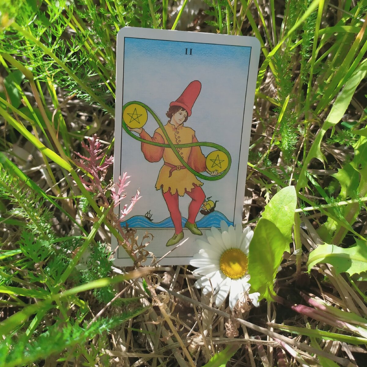 Фото автора канала