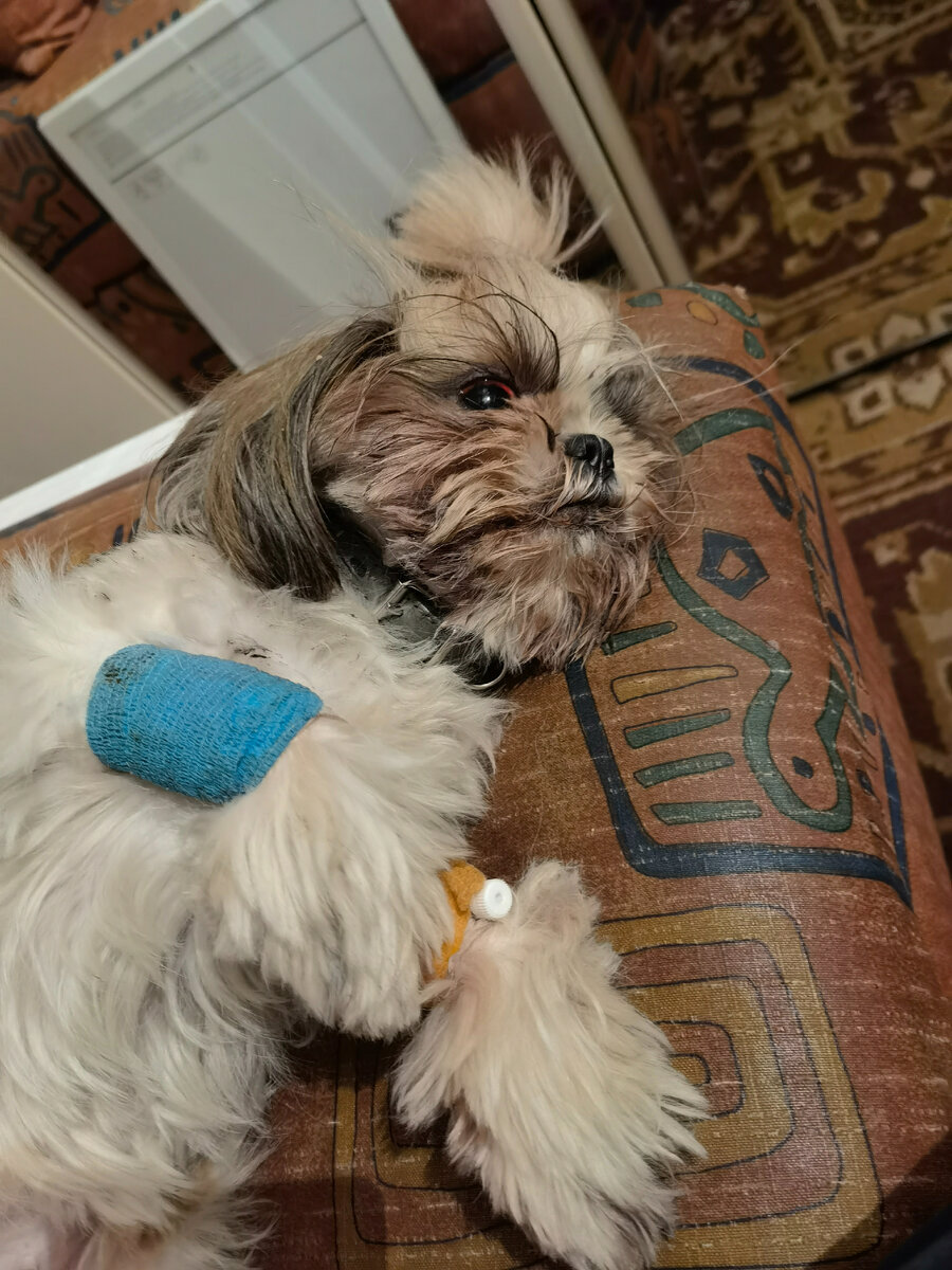 после аварии