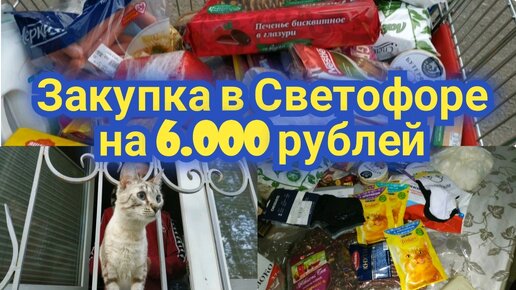 Новинки в магазине светофор. Домашние продукты из деревни. Полка светофор магазин. Светофор закуп. Магнитик светофор.