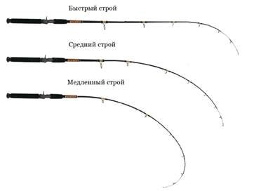 Ловля рыбы в коряжнике