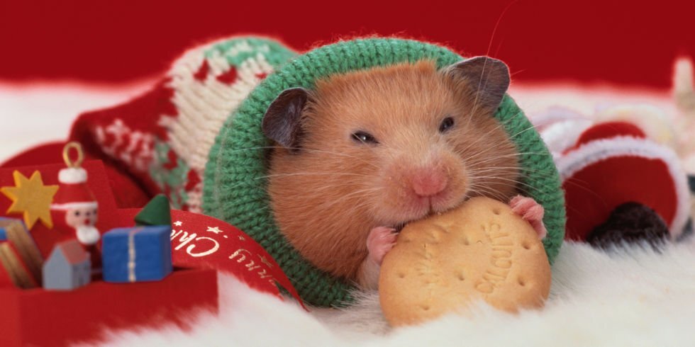 Взято из интернета