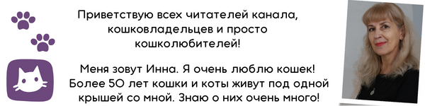 Трудно говорить о смерти питомца. Само слово «эвтаназия» пугает и внушает ужас. Каждый, читающий эту статью, подумает: «Пусть меня это обойдет стороной». Было бы отлично. А если нет?