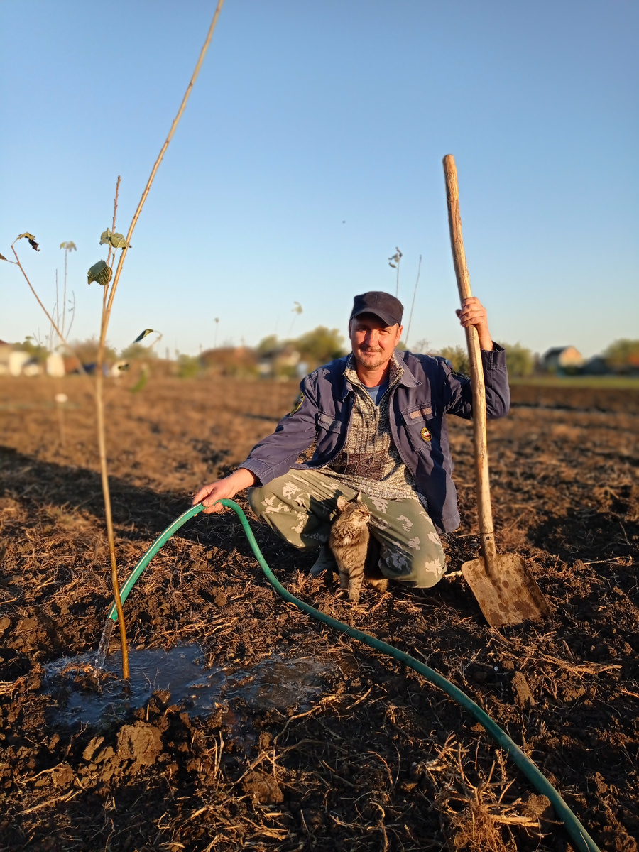 Кот тоже в с нами.