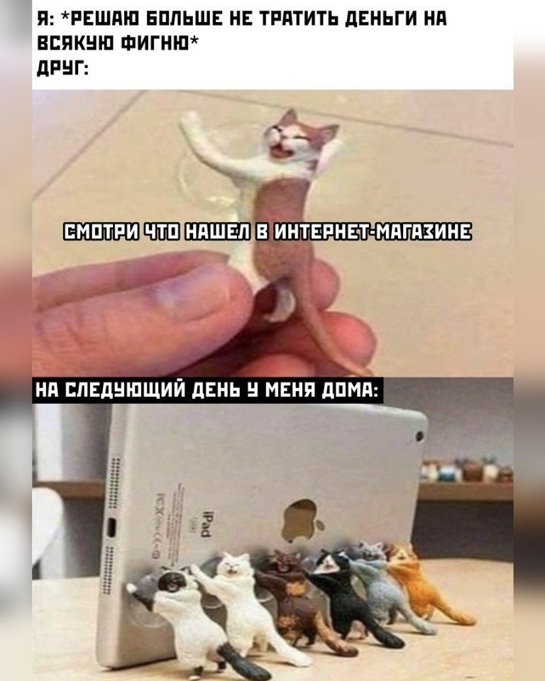 Самые милые фразы. Прикольные мемы с надписями. Стильные статусы. Тратятся напишет. Милые фразы про людей.