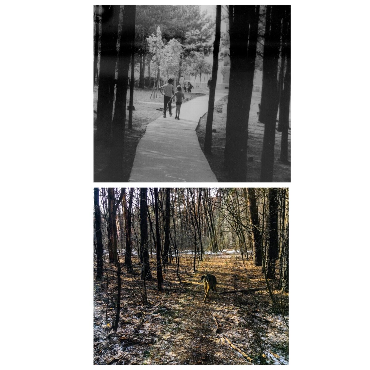 Припять до аварии на ЧАЭС и в наши дни