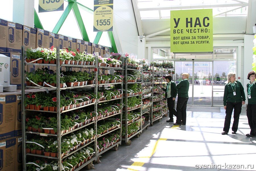 Фото из открытого источника