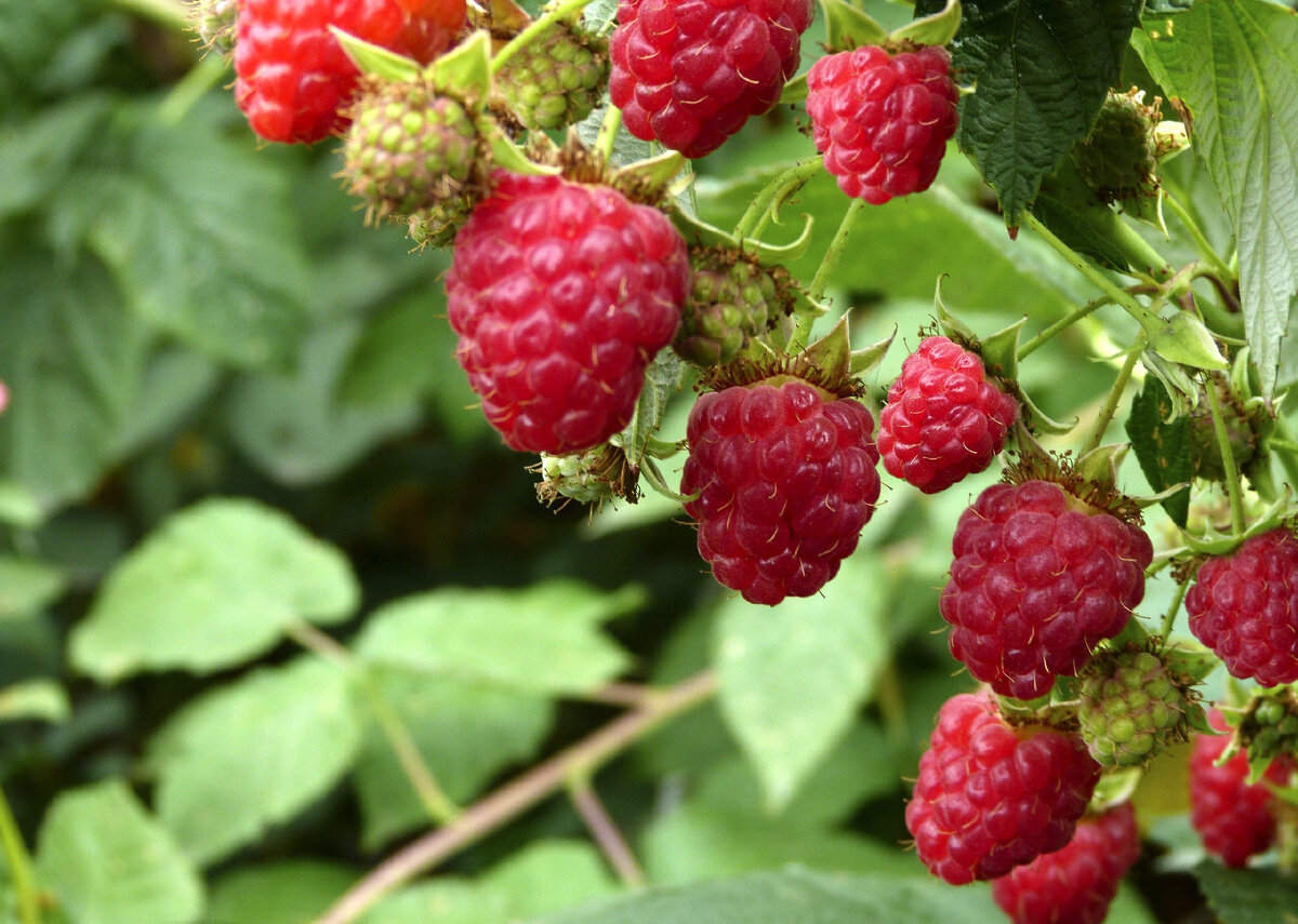 Правда, здорово?