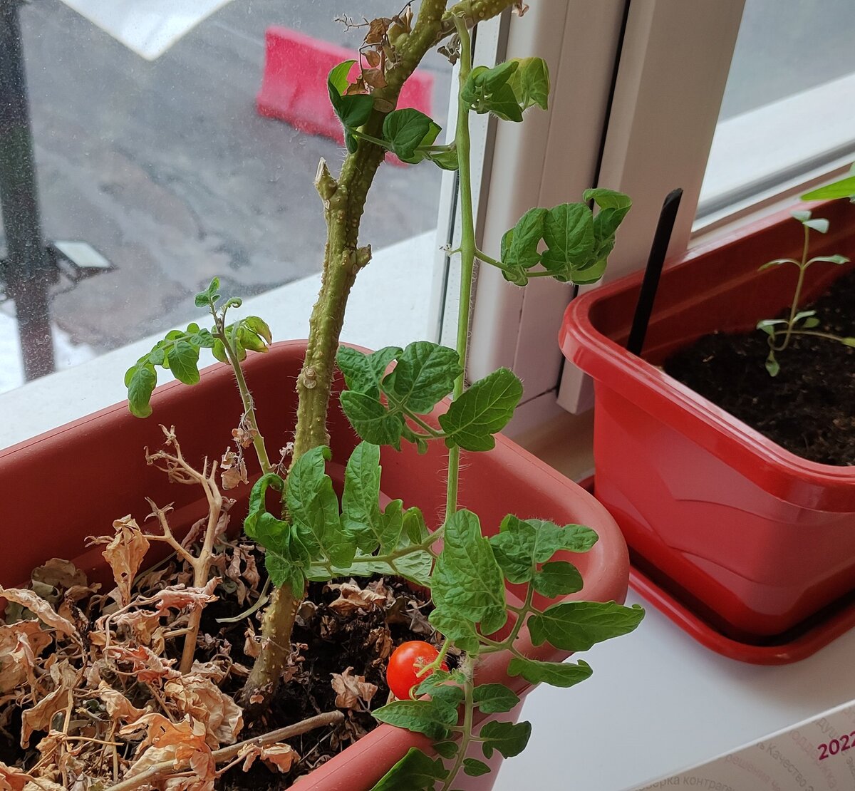 фото автора 14.02.22