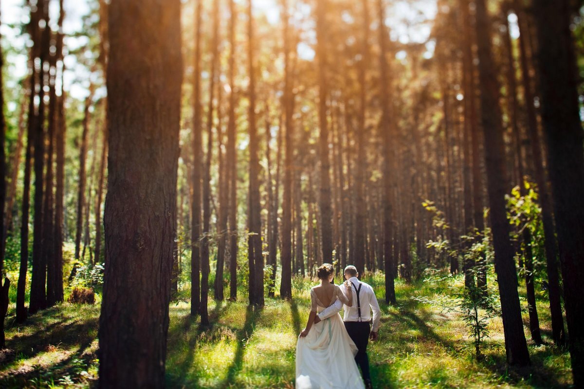 Свадьба в Сосновом лесу. Свадьба в лесу. Свадебная фотосессия. Свадебная фотосессия в Сосновом лесу.
