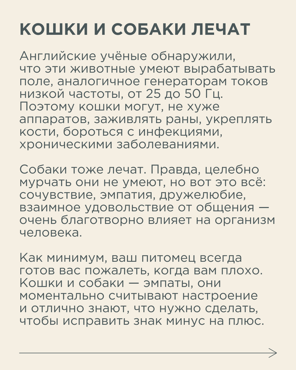 Иногда нам бывает очень трудно справиться с негативными мыслями и стрессом.  Как животные отвлекают нас от плохих мыслей | Новый очаг | Дзен