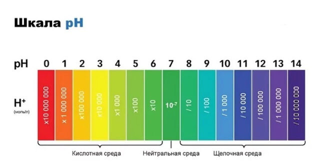      ,        .  ,   ,       .-4