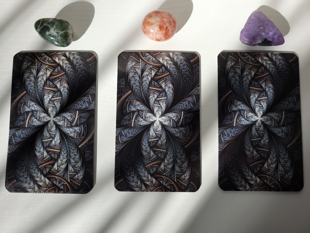 Изображение взято из интернета. 