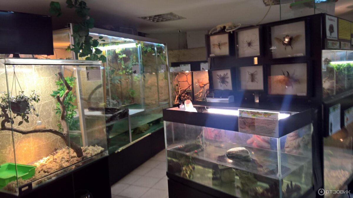 Ещё одна часть зала ист:https://otzovik.com/review_5231628.html