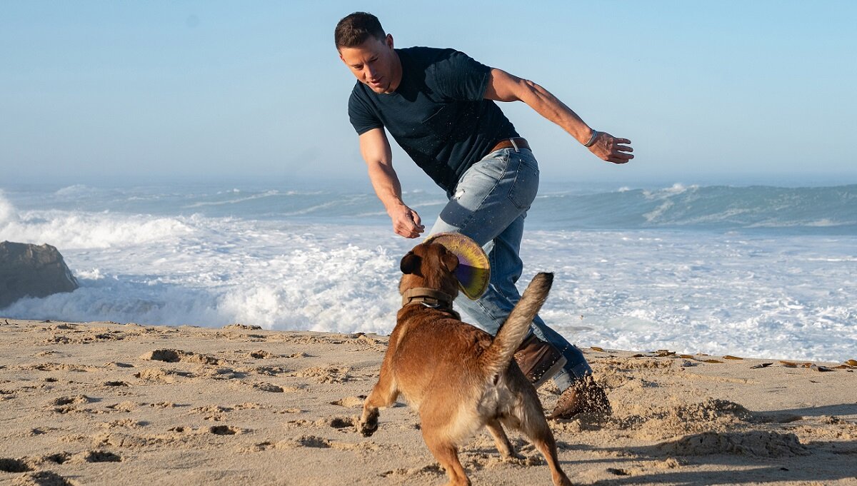 Художник Турген Мумуев. "Герасим передумал". Холст, акварель, собачий корм. 