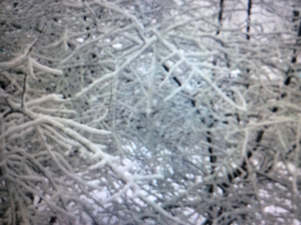 Фото сделано 2 апреля