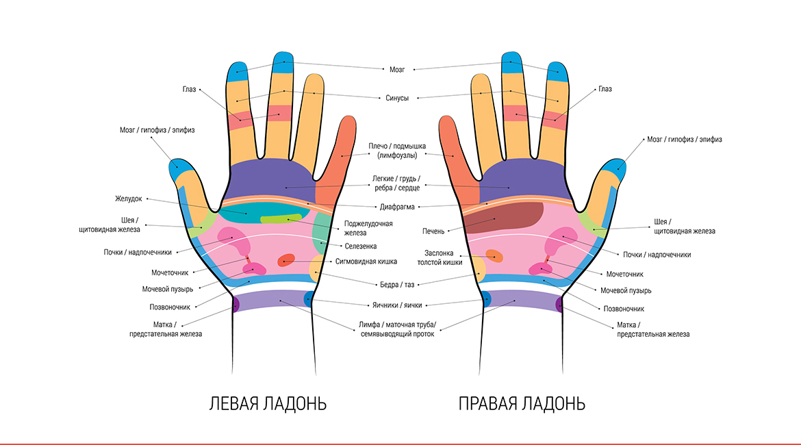 Массажные зоны тела схема