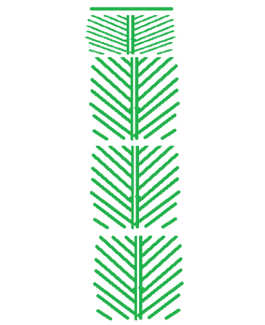 Вид спереди. 