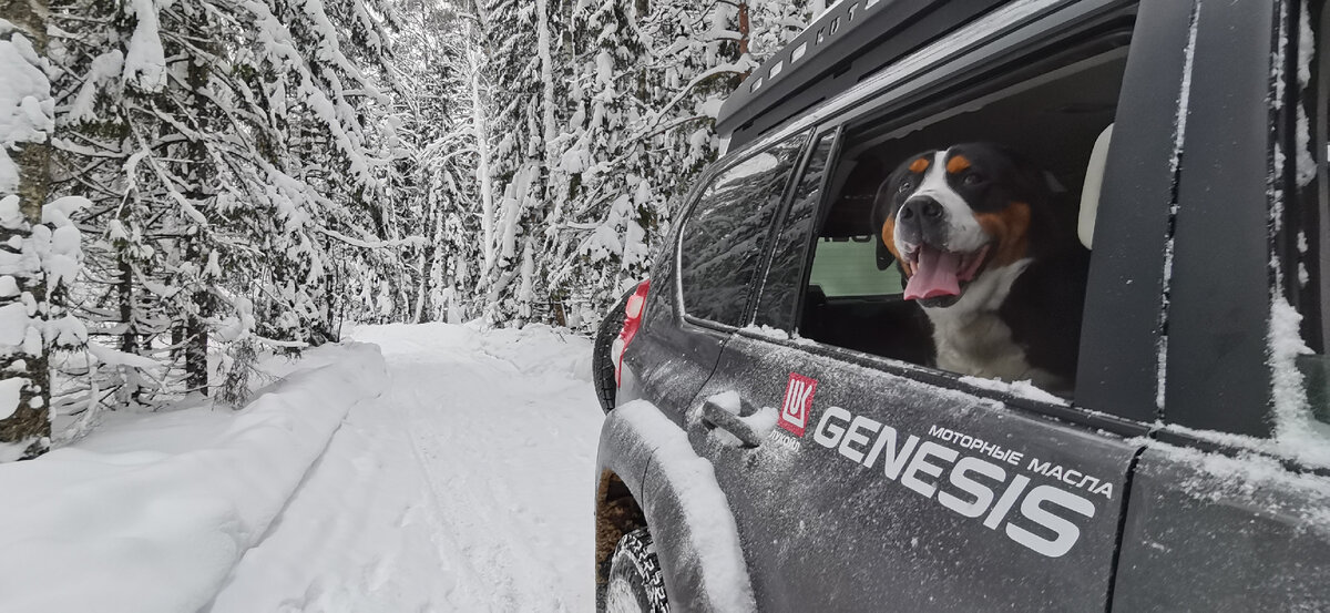 Зима 2021-2022 была красивой и очень снежной