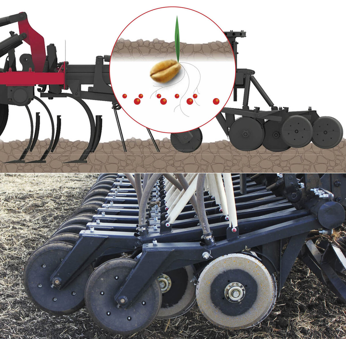 Лапы режут, диски сеют: комбинированный посевной комплекс SH | Ростсельмаш  | Дзен