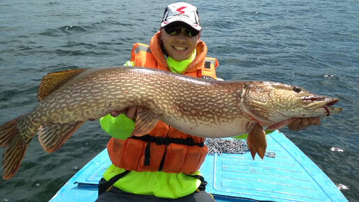 ОГРОМНАЯ ЩУКА ЛОМАЕТ СПИННИНГ - ГОТОВИМ ПРАЗДНИЧНЫЙ ПЛОВ - РЫБАЛКА НА ...