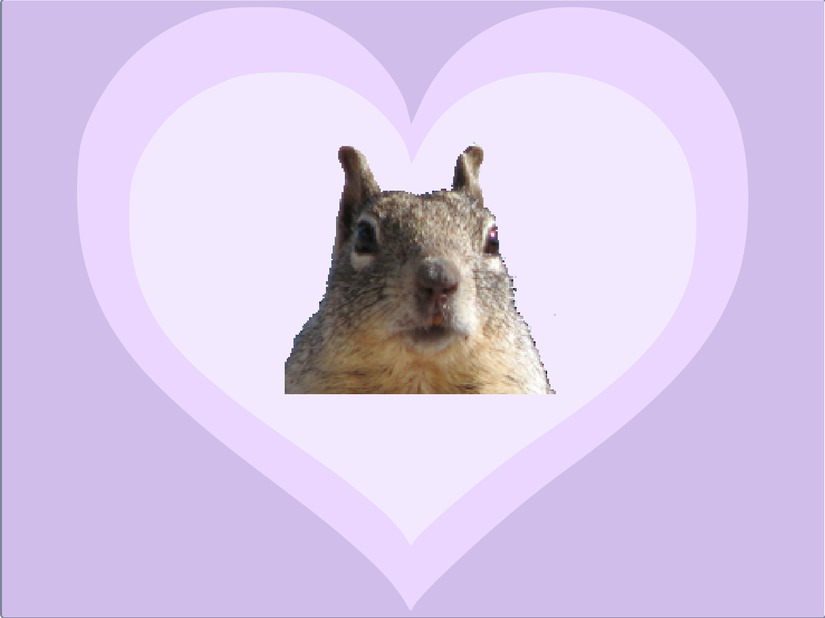 Белка тебя приветствует!