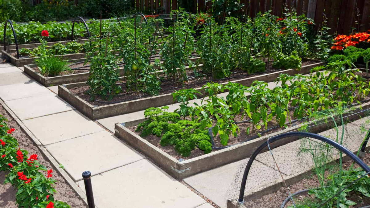 Как без бетонных бордюров отделить грядки и цветники от садовых дорожек? (3 варианта)4