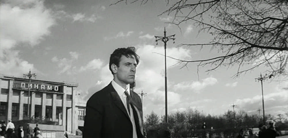 изображение из свободного доступа