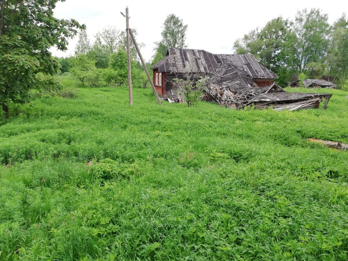 деревня б заборовье новгородская фото