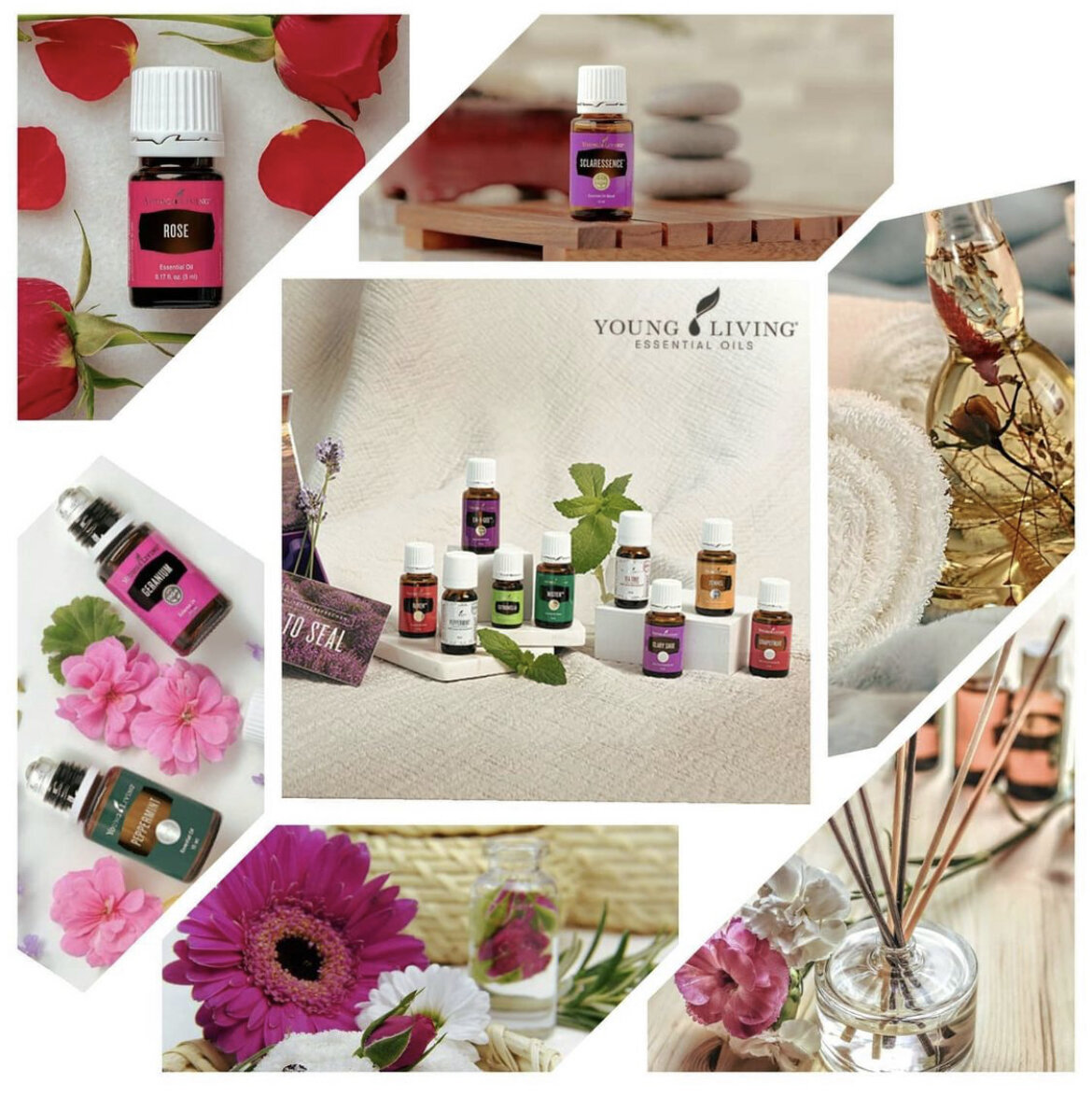 Коллаж из фото Young Living и фото из открытых источников