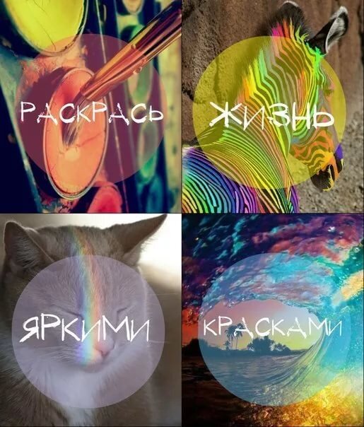 Яндекс картинки.