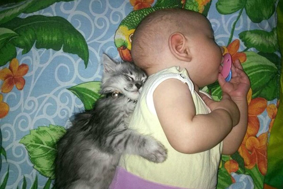 «Друзья навеки», - 15+ трогательных кадров любви между ребенком и ...