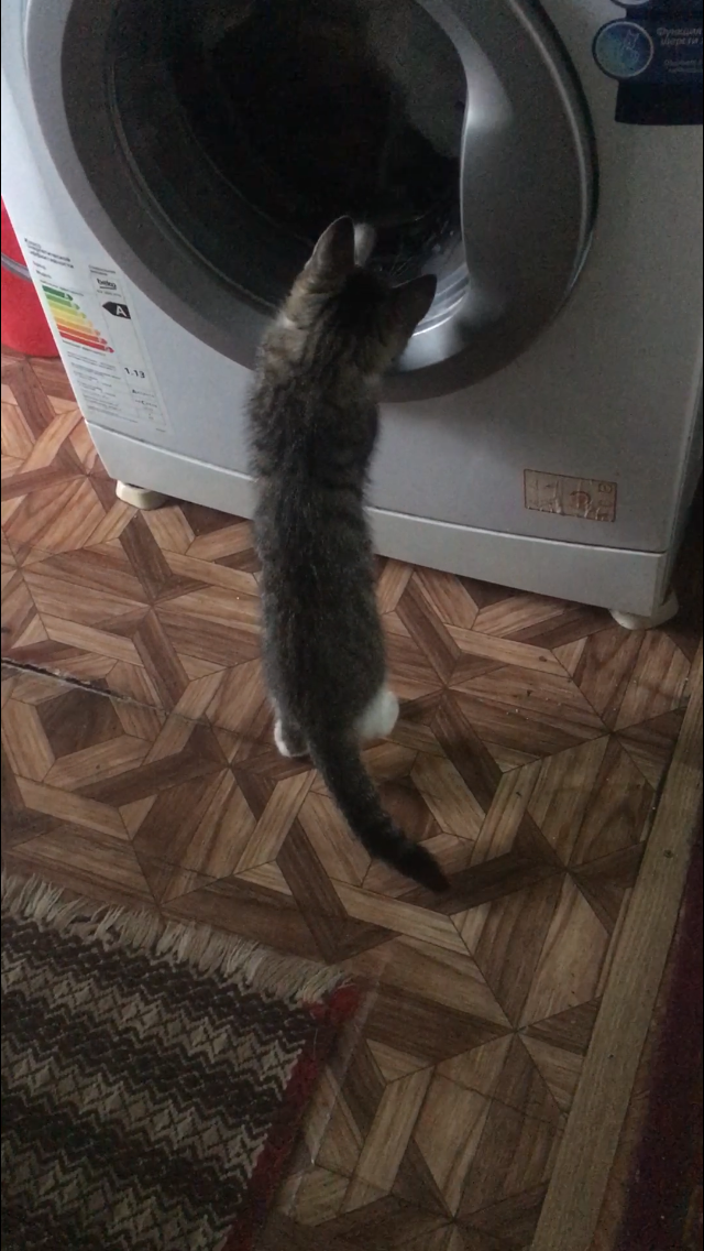 Неравный бой со стиральной машиной