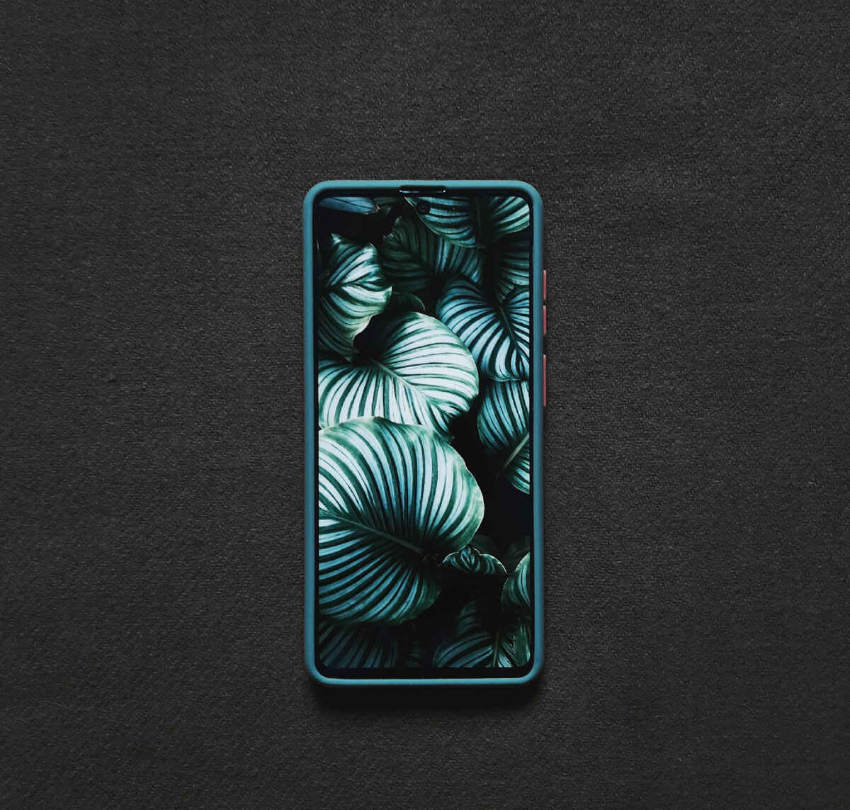 unsplash.com