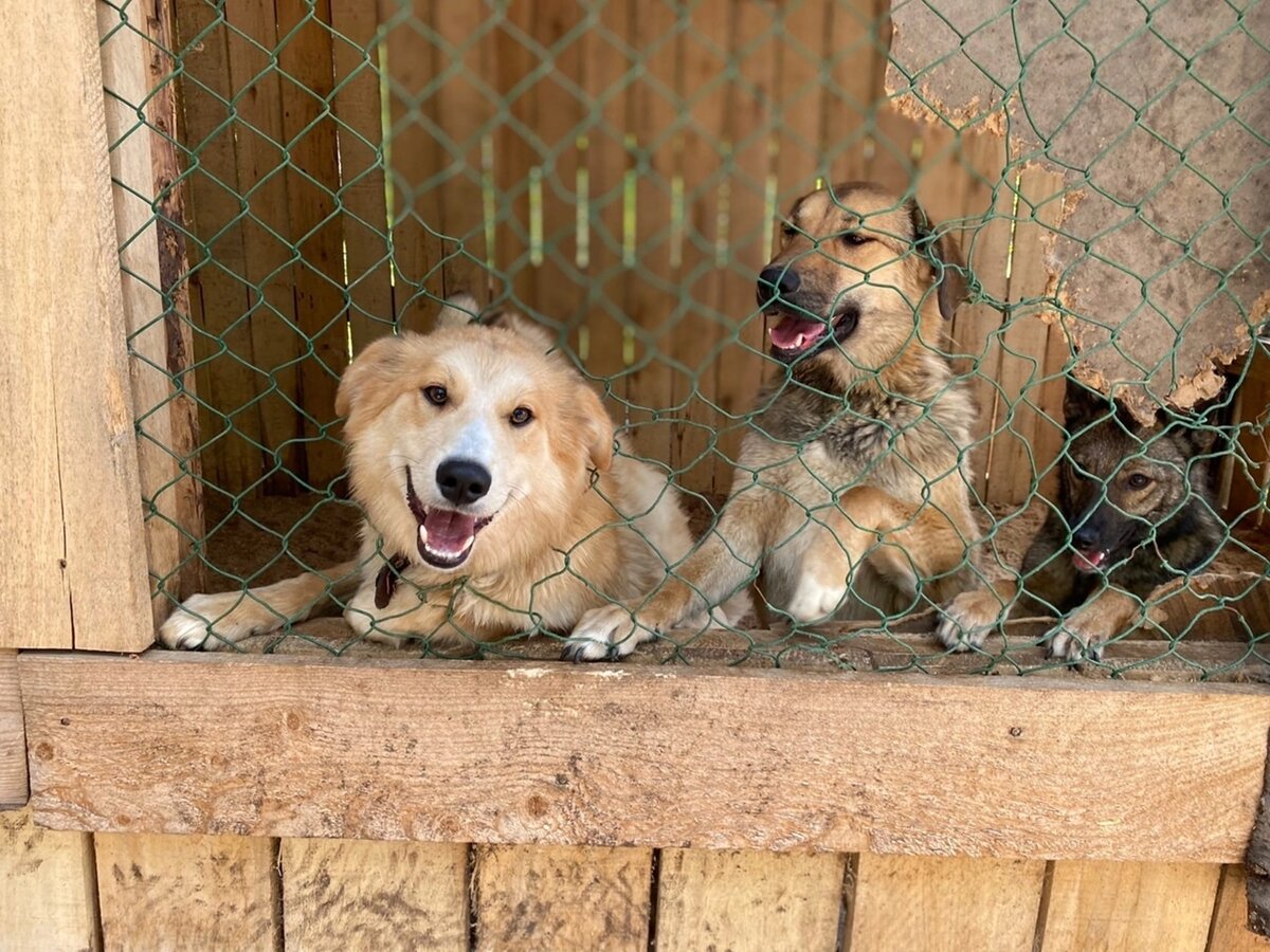 Ура! Они приехали . 