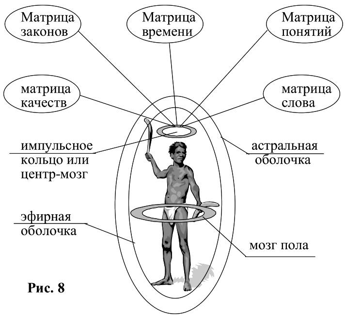 Части душа название