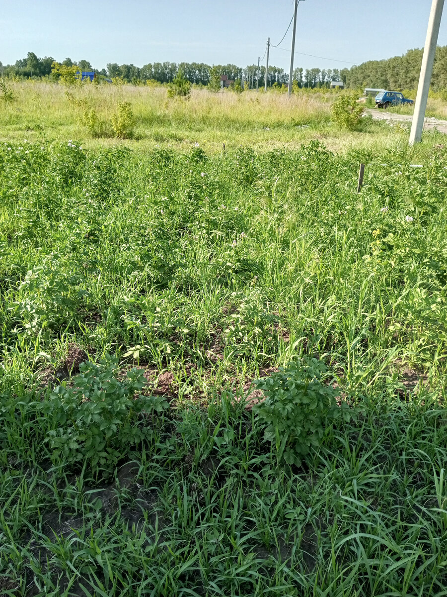 ага, именно так