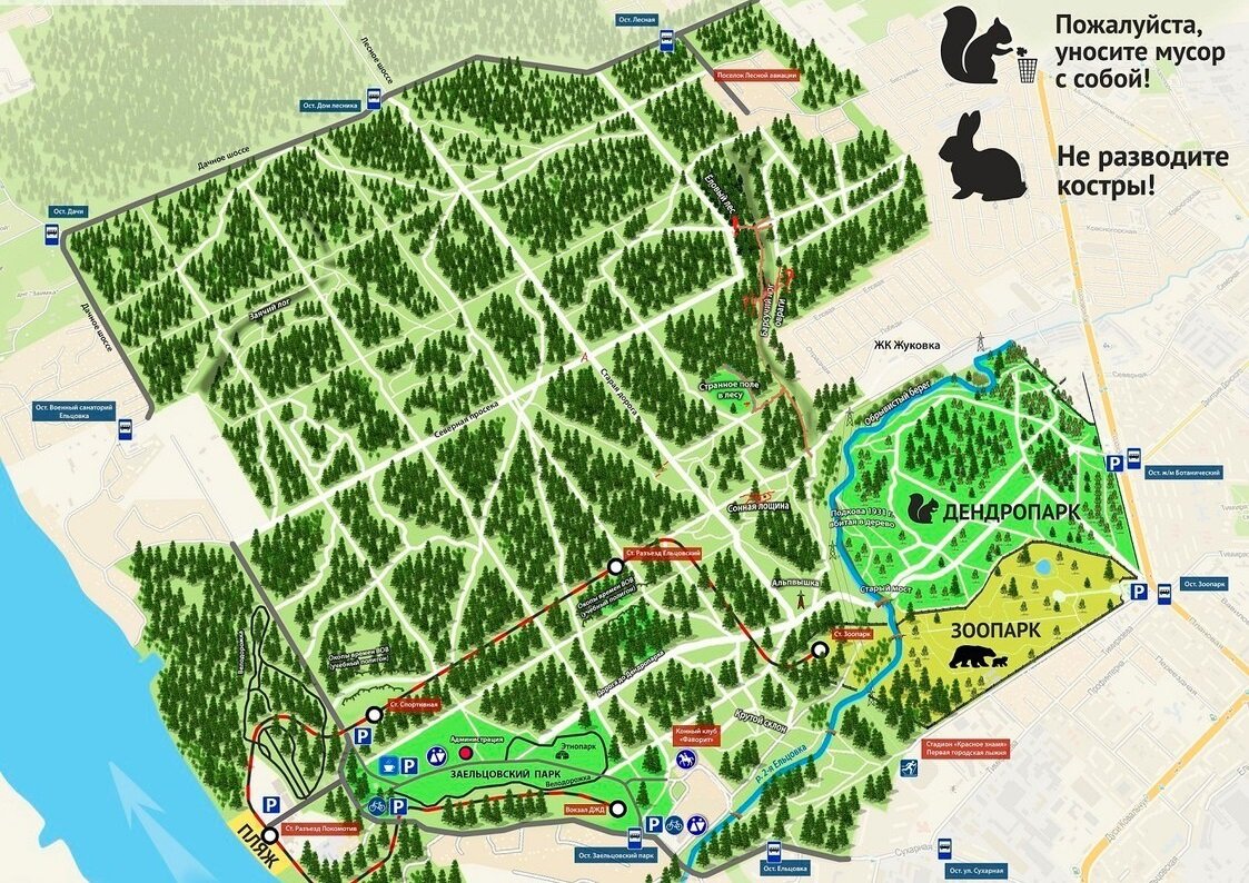 План заельцовского парка