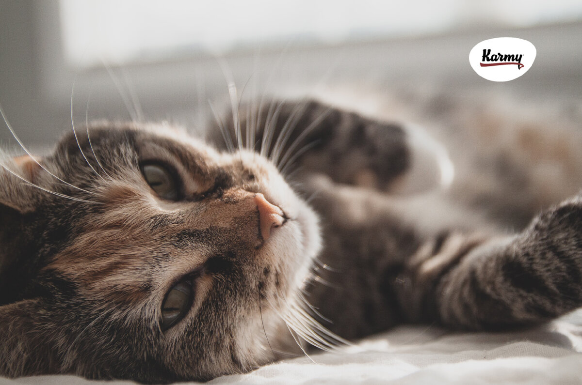 Авторское изображение с использованием картинки с фотостока "Unsplash"