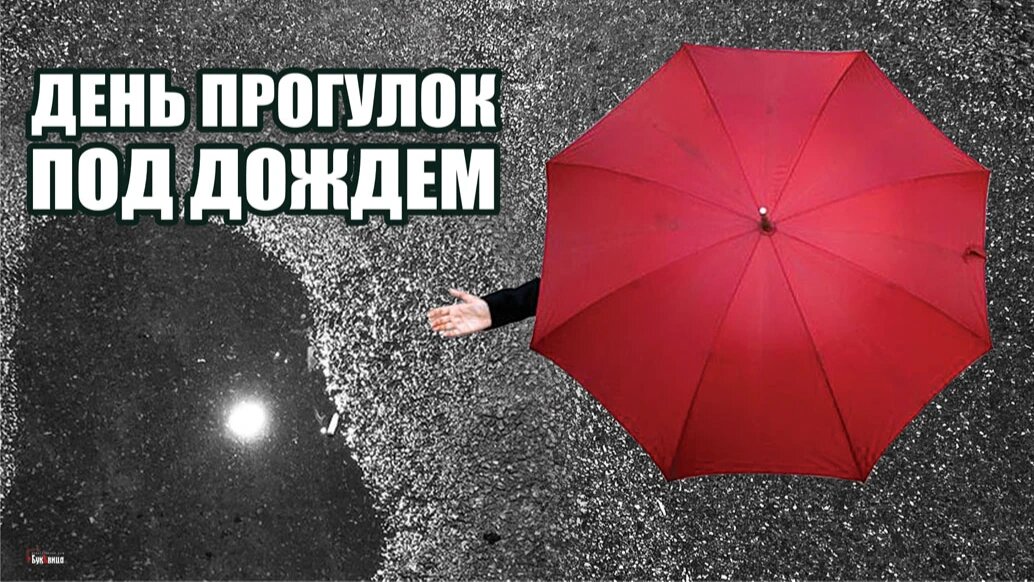 День прогулок под дождем. Иллюстрация: «Курьер.Среда»