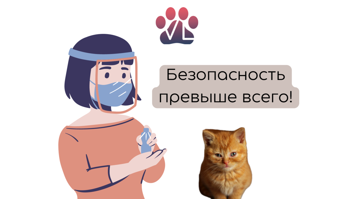 Карантин нужен обязательно! / ветеринар о принятии в семью питомца с улицы  | Ветеринарный диетолог vetLIFE | Дзен