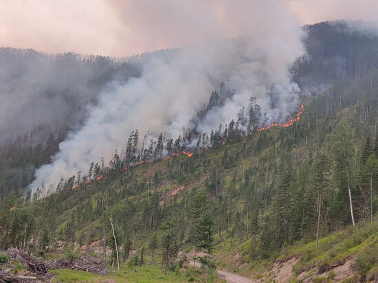     фото - Пресс-служба губернатора и правительства Хабаровского края